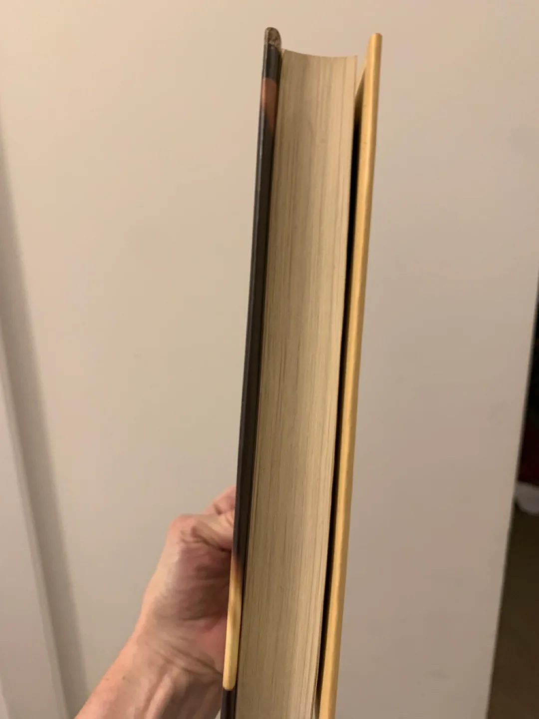 Michael Ondaatje “Anil’s Ghost” hard cover excellent condition image indicator(2)