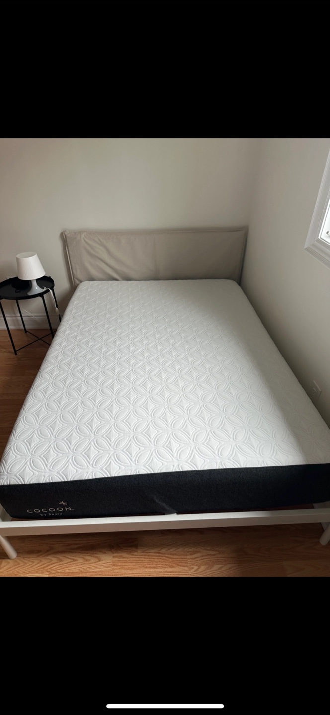 Cocoon by Sealy Queen size Mattress - photo 2