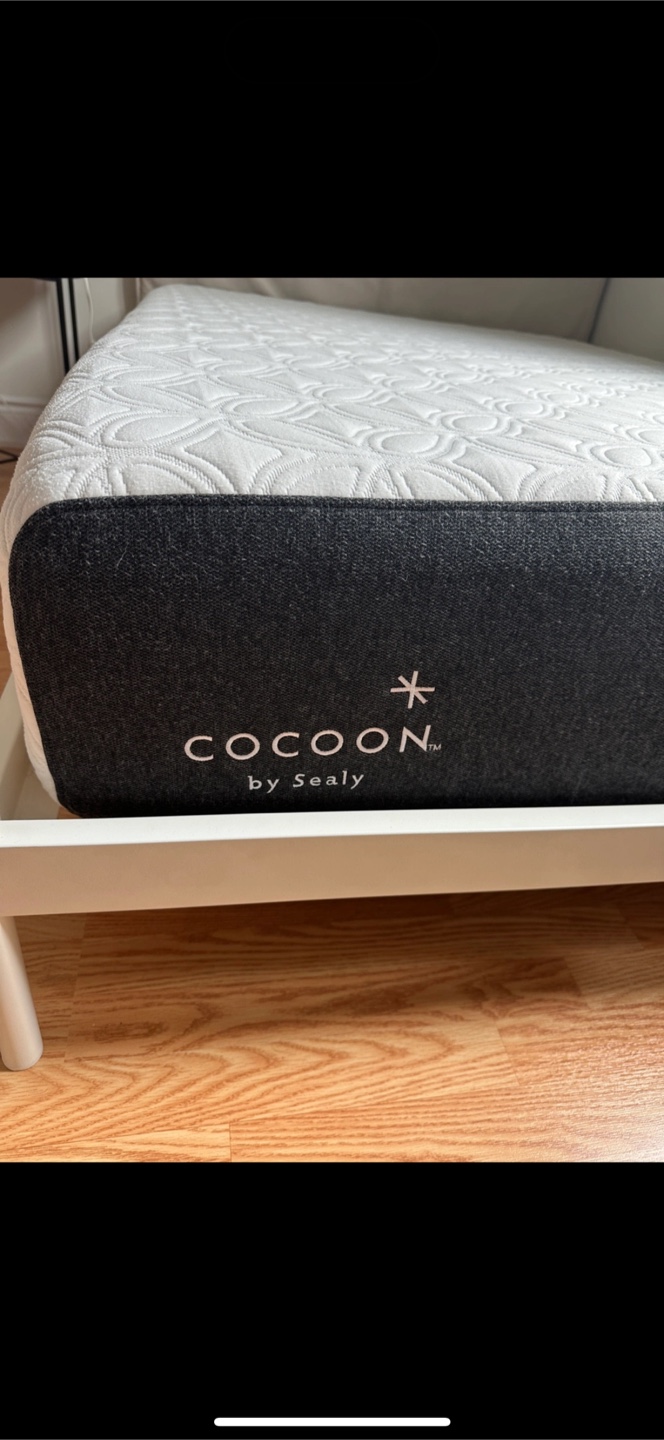 Cocoon by Sealy Queen size Mattress