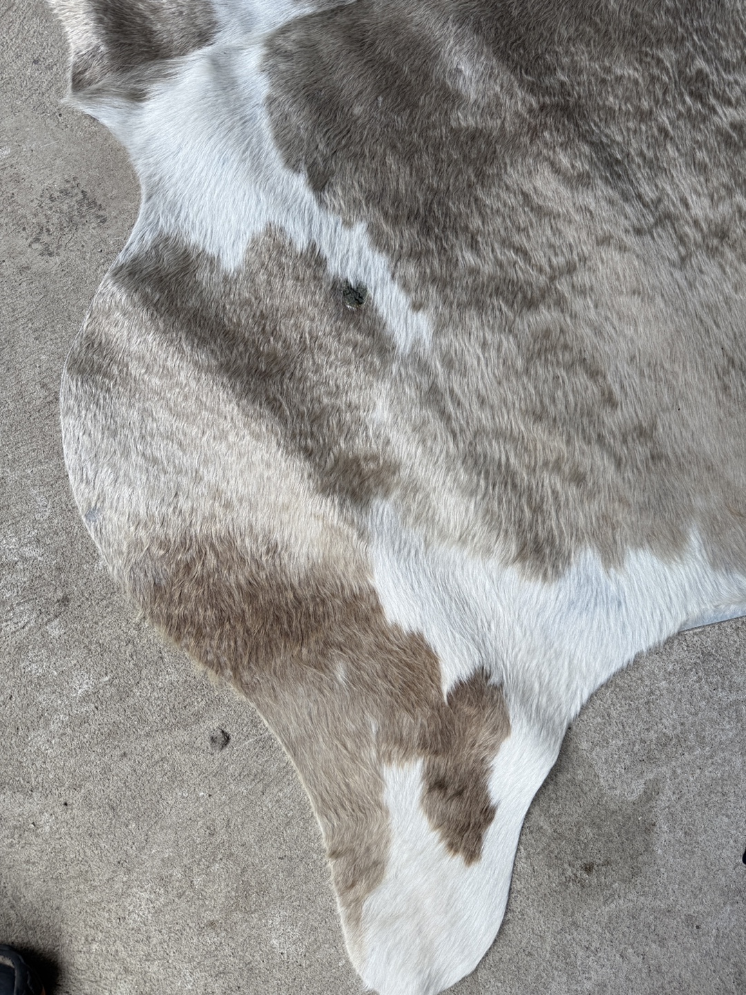 Cowhide Rug - Gray and White - photo 3
