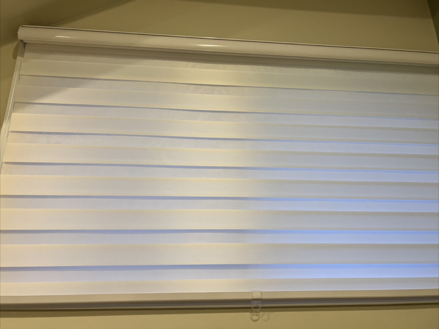 New White Zebra blinds