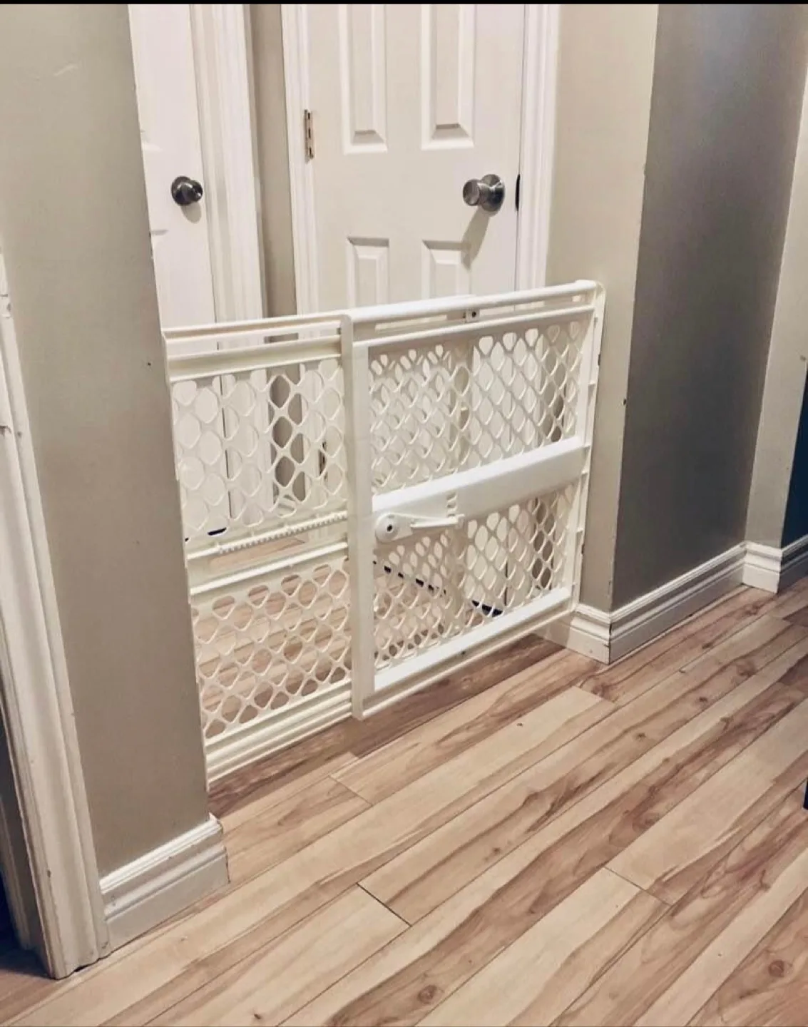 Baby Gate thumbnail