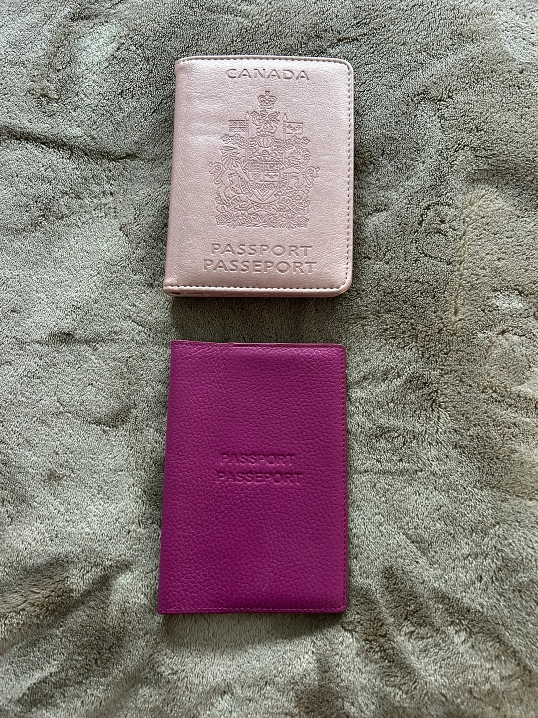 Passport Holders - Set of Two thumbnail