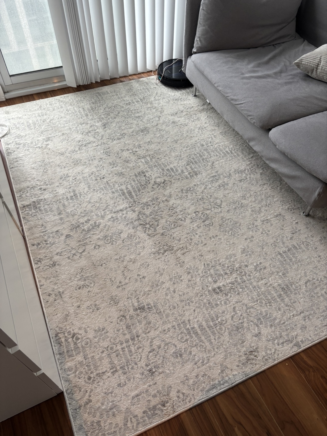 Area Rug - Must go asap! - photo 2