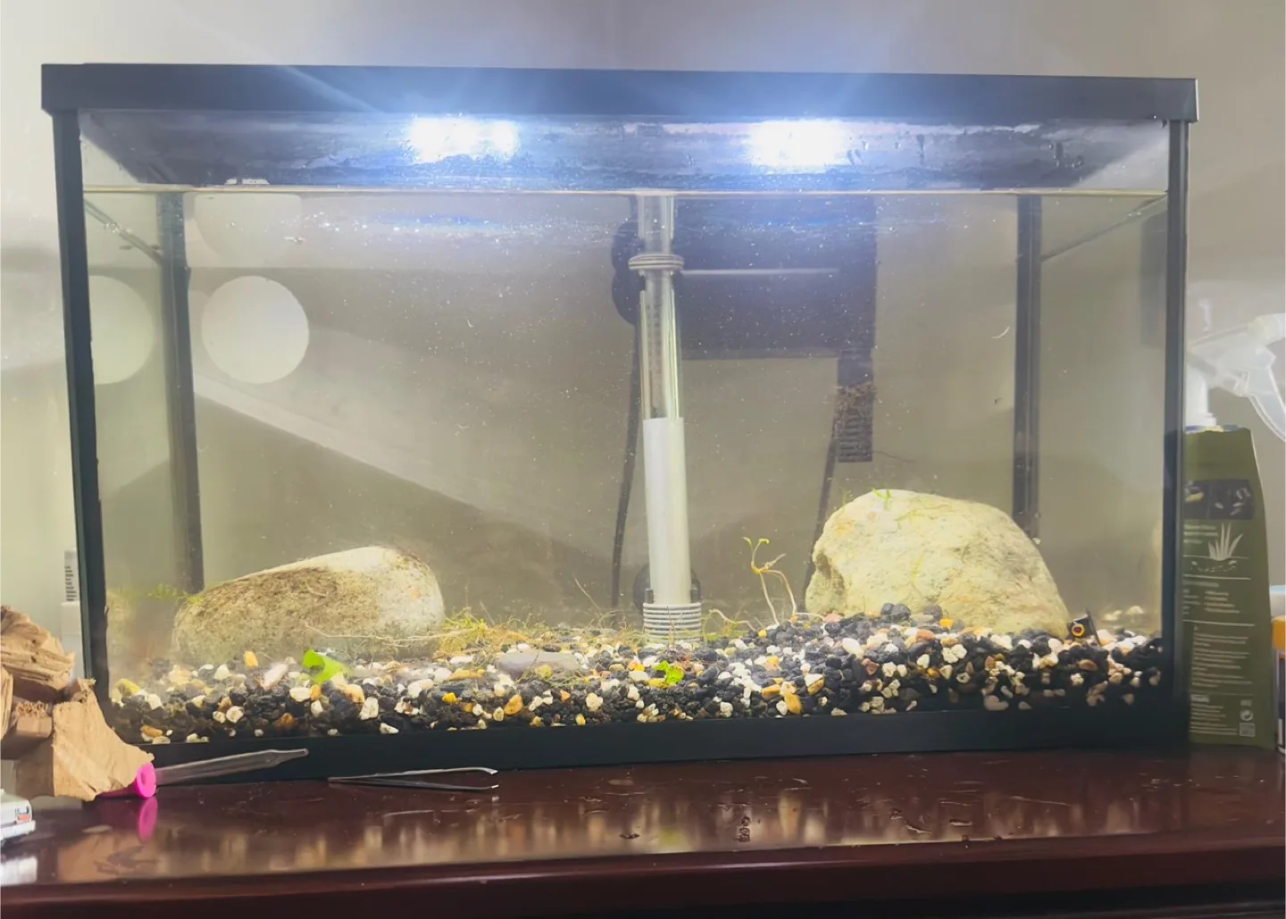 Fish Tank with Filter and Accessories image indicator(2)