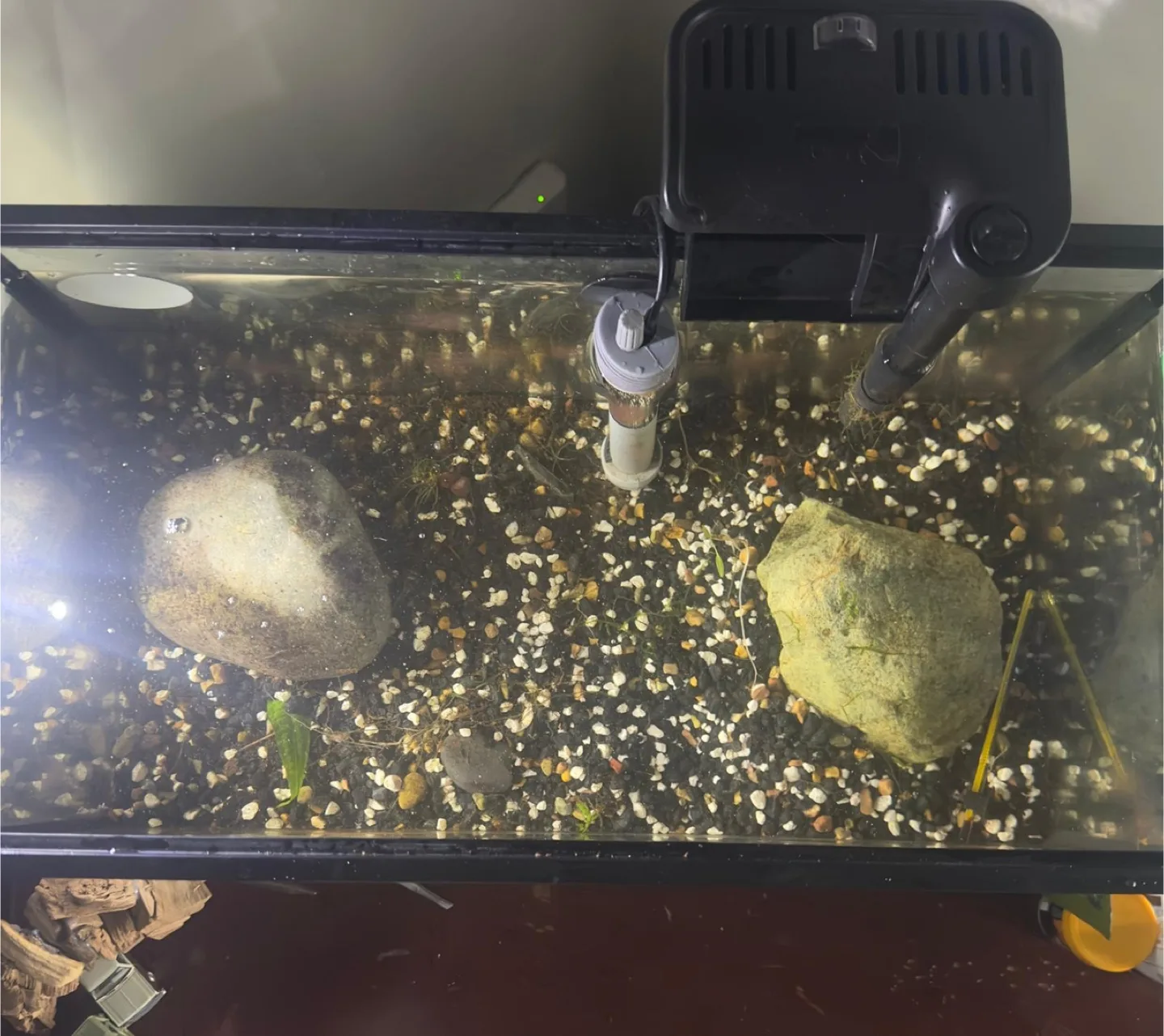 Fish Tank with Filter and Accessories image indicator(4)