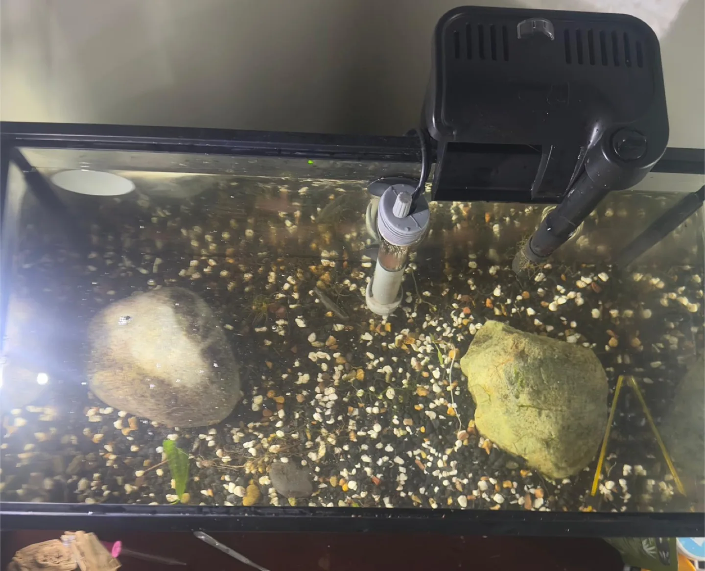 Fish Tank with Filter and Accessories image indicator(3)
