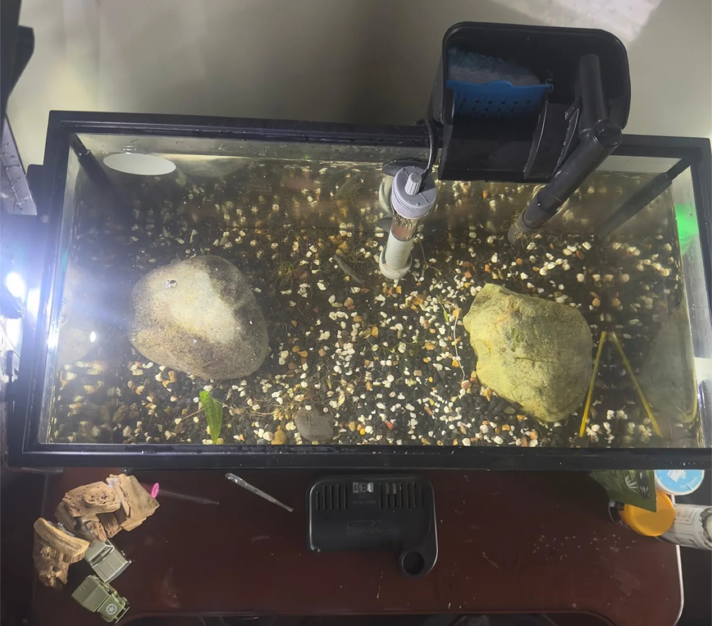 Fish Tank with Filter and Accessories image indicator(5)