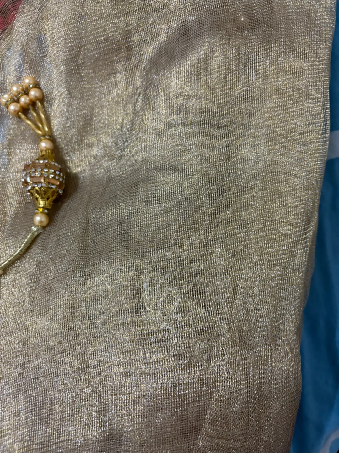 Gold Net Fabric with Embroidered Detailing image indicator(2)