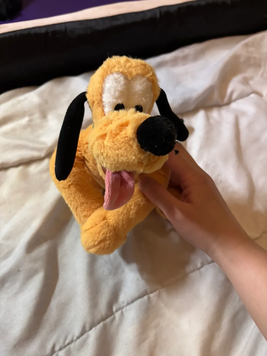 Pluto Plush Toy (From Disney) image indicator(2)