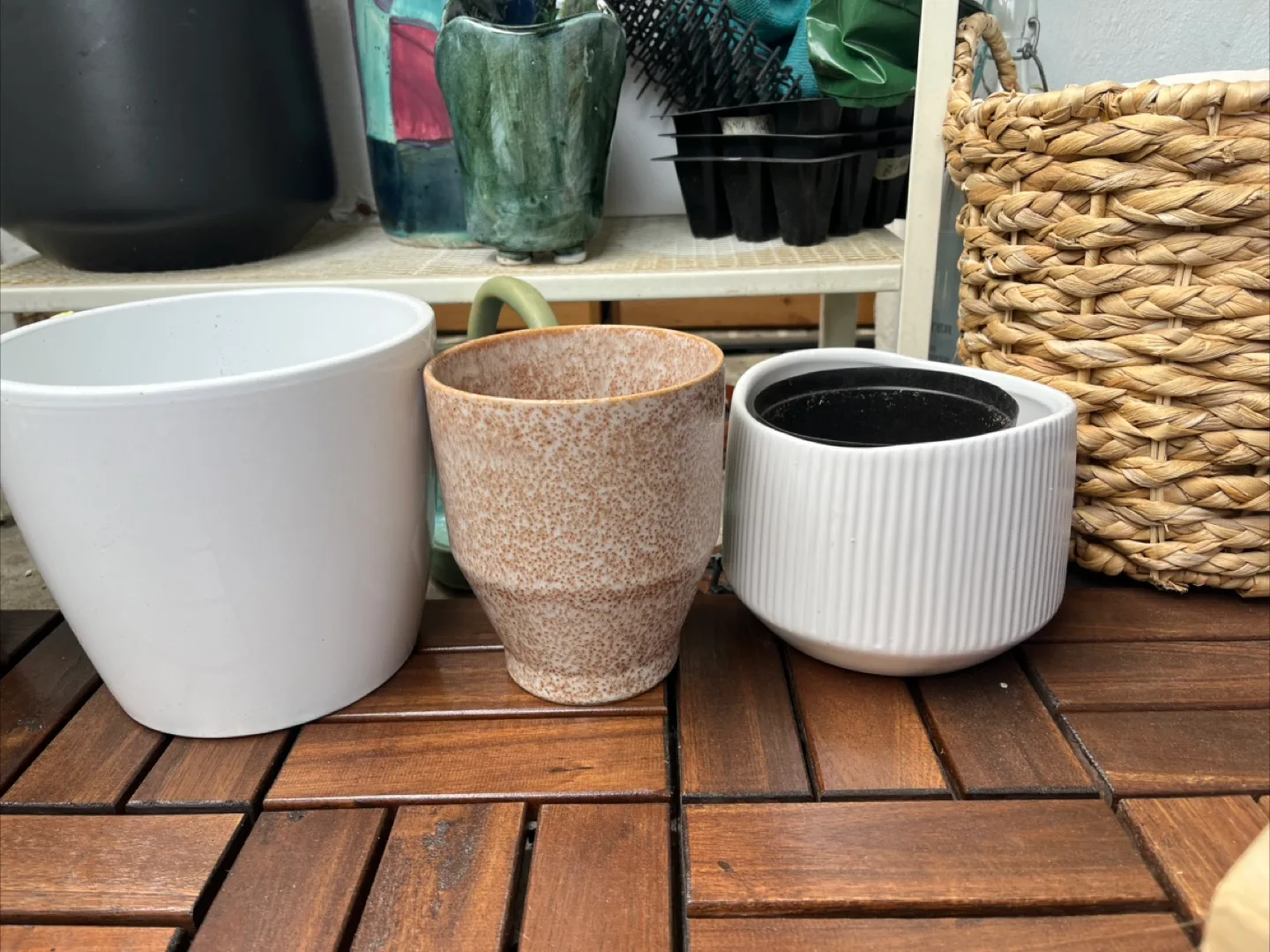 Assorted Plant Pots - Terracotta and Ceramic thumbnail