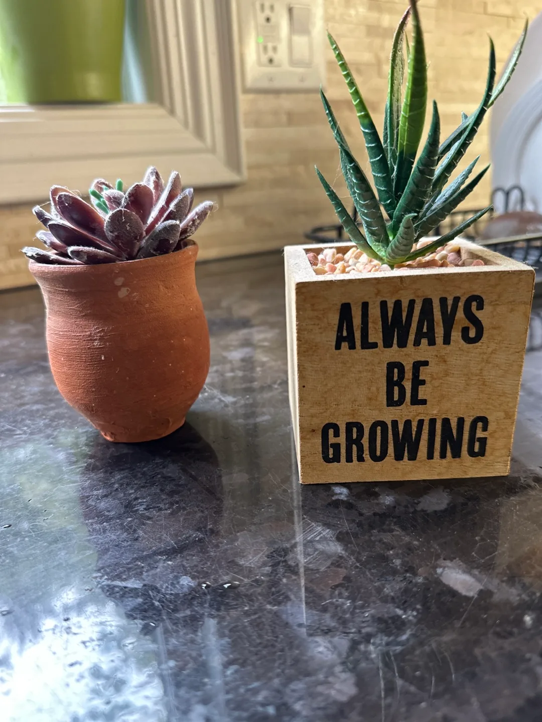 Two Faux Succulents in Cute Pots thumbnail