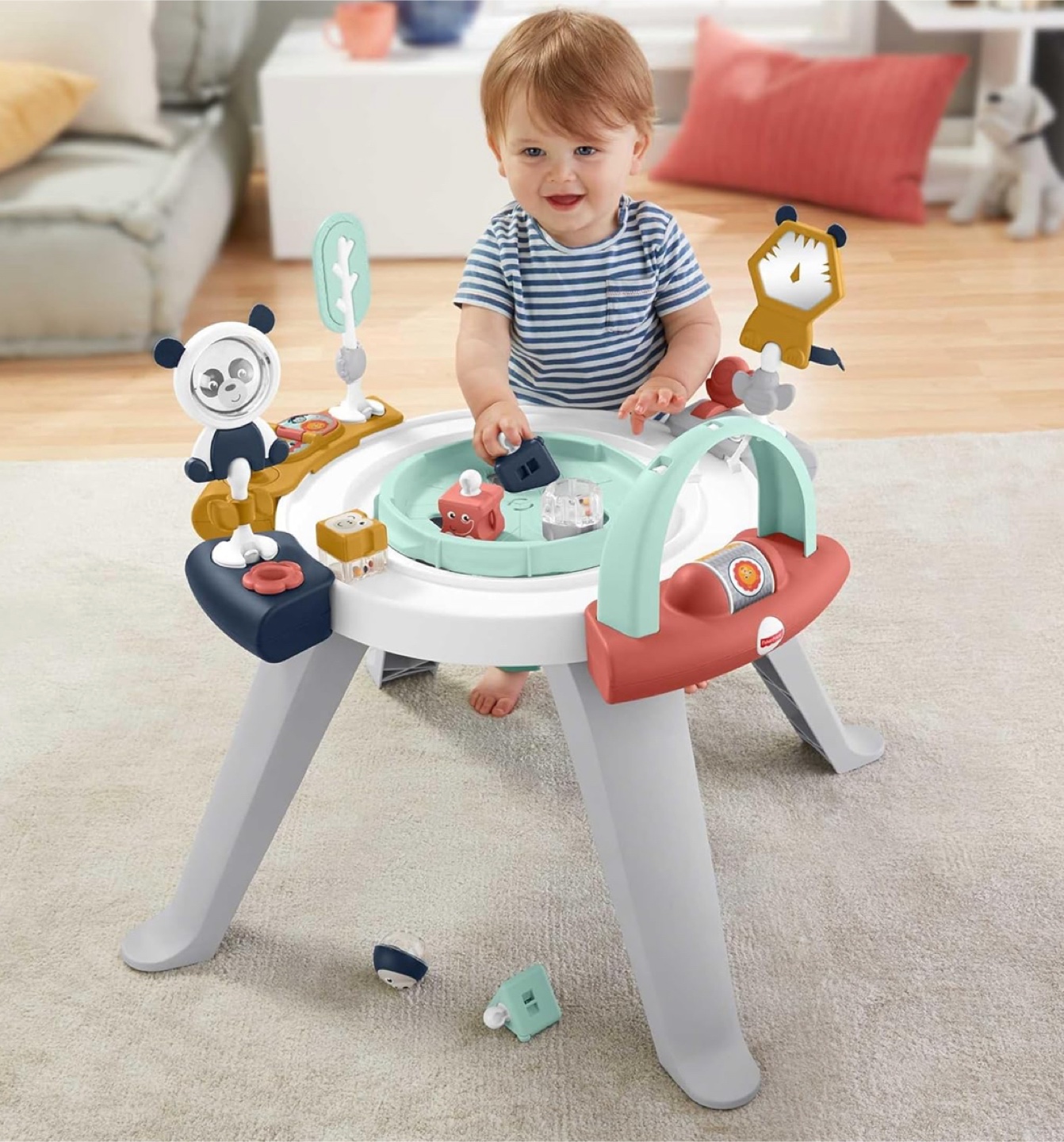 Fisher-Price Baby to Toddler Activity Center