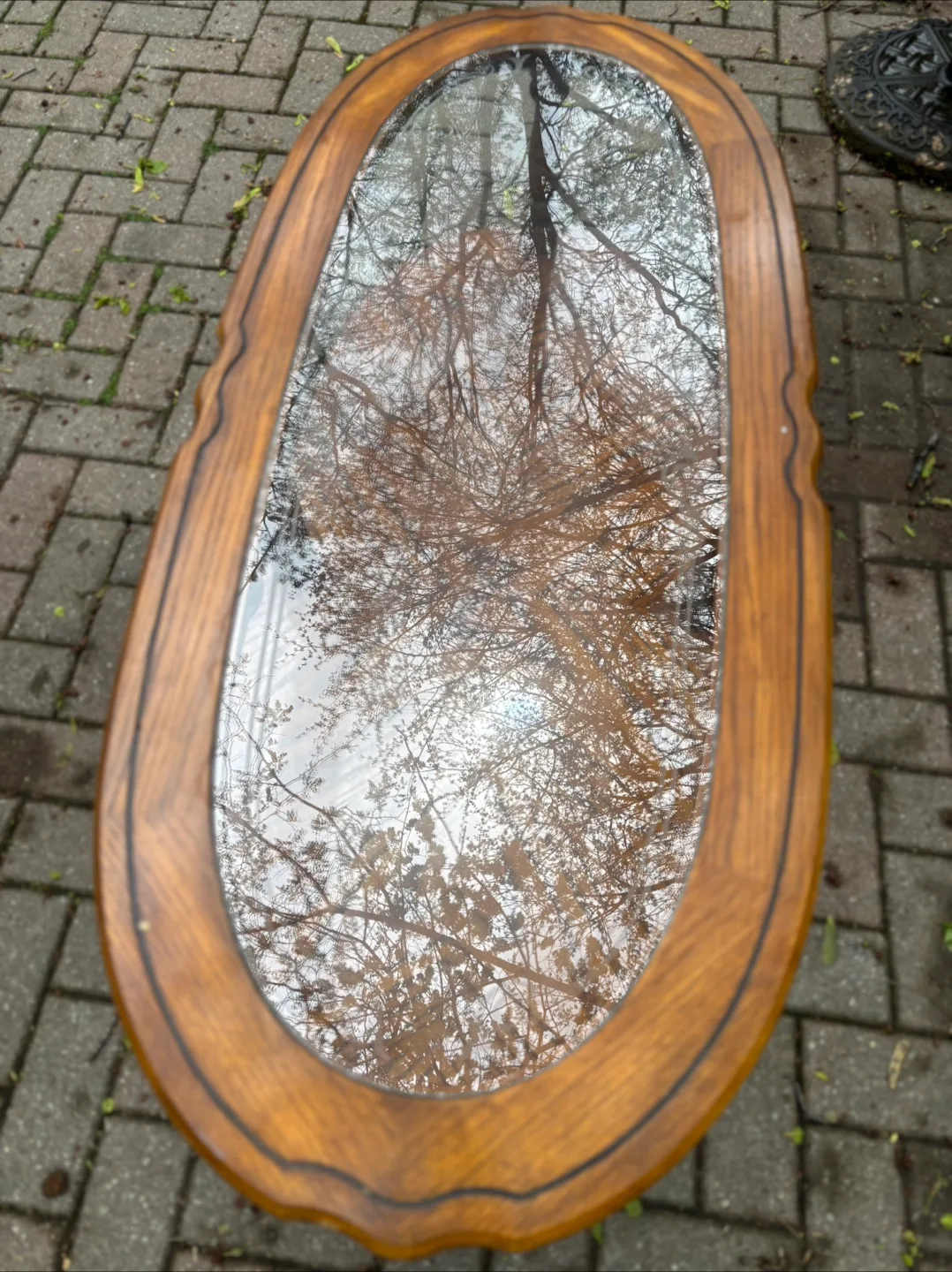 Oval Glass Top Coffee Table with Shelf image indicator(2)