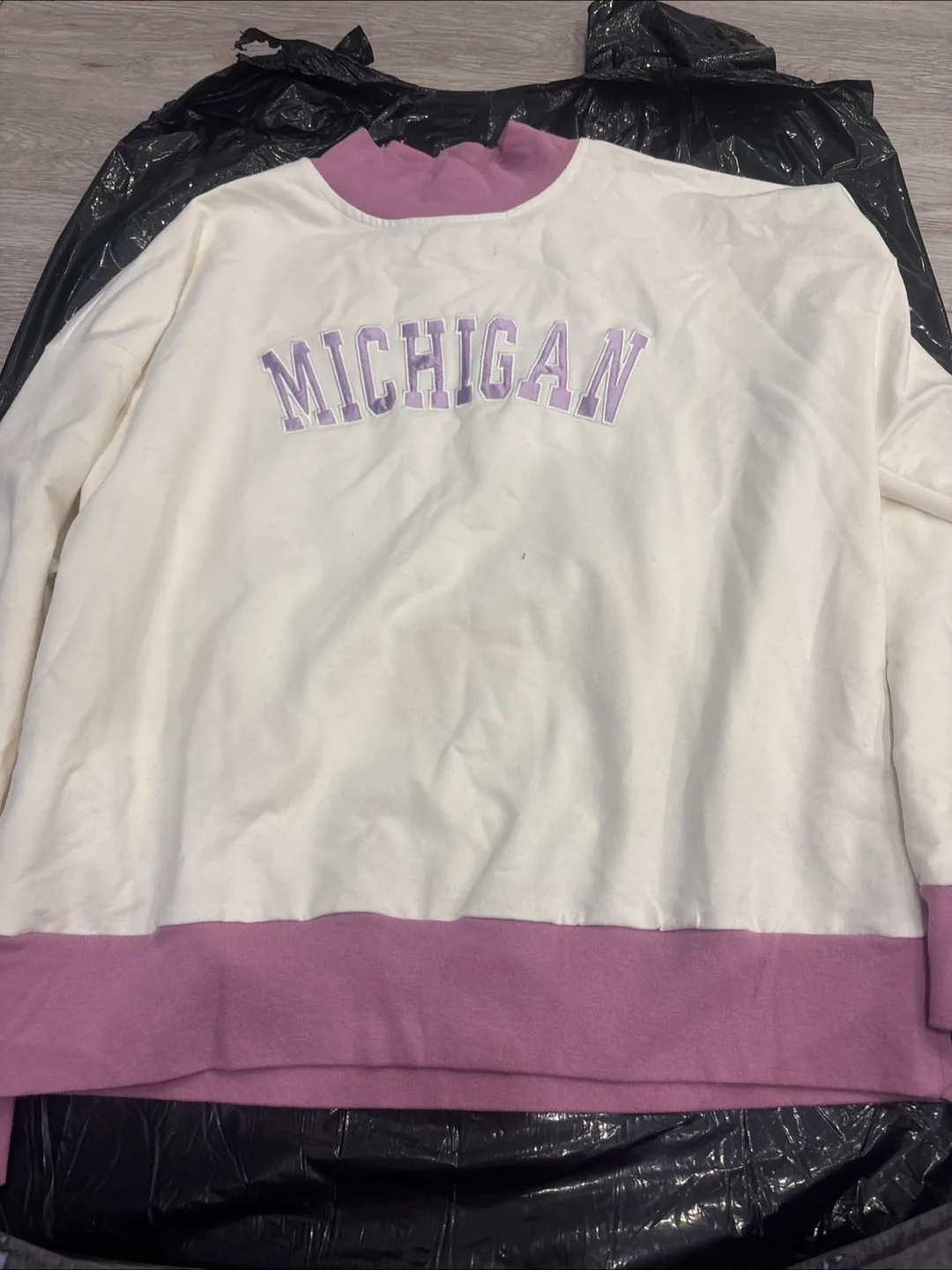 Boohoo Michigan Crewneck Sweatshirt Size 6