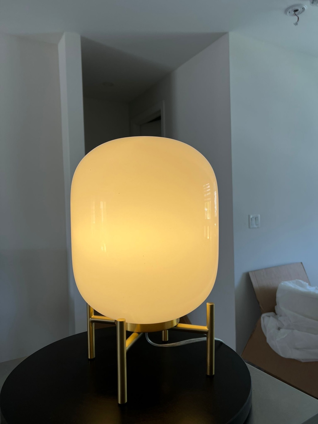 Danae Metal Novelty Lamp - Opaline Glass & Brass - photo 2