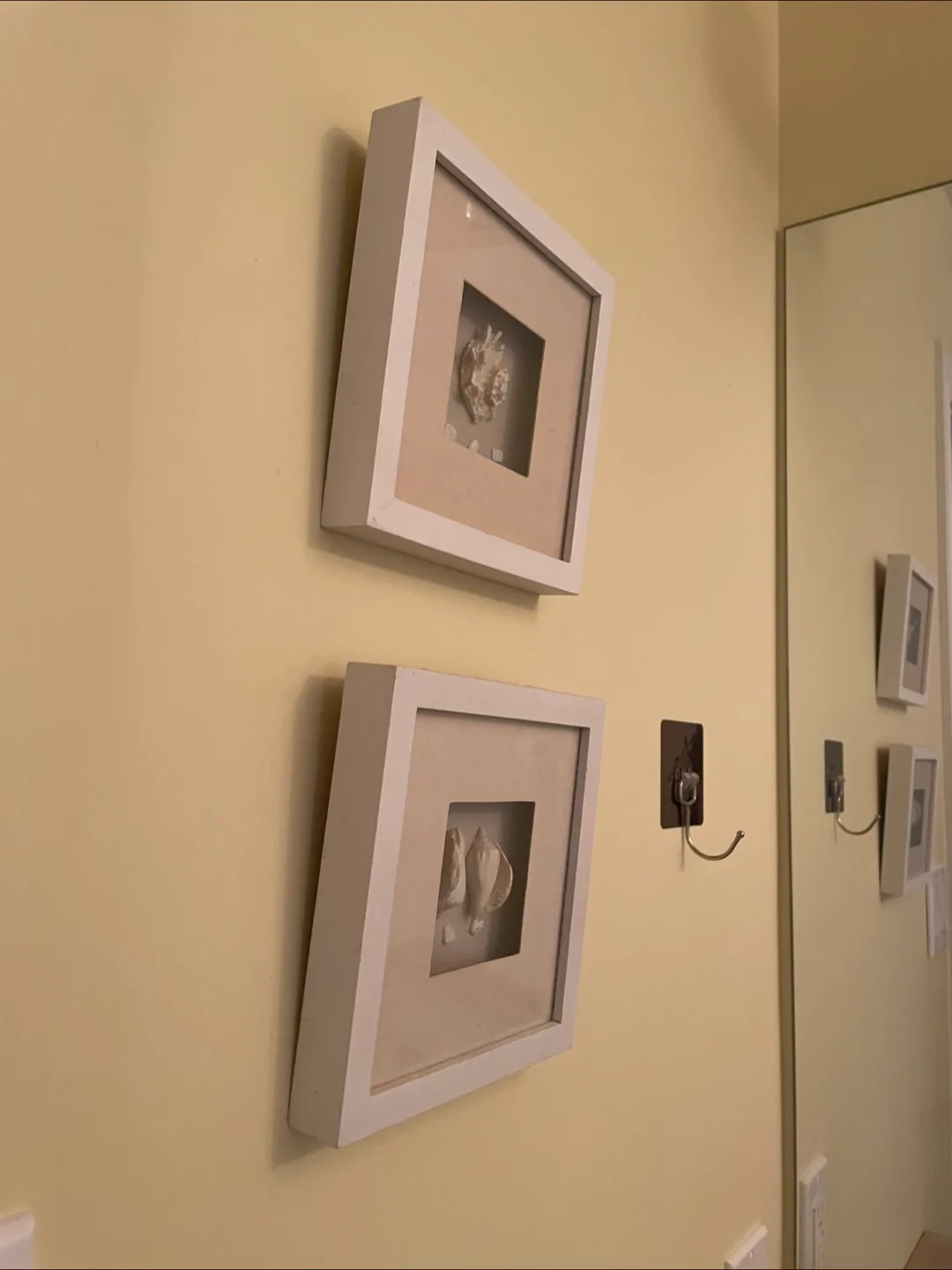 Pair of Seashell Framed Wall Art thumbnail
