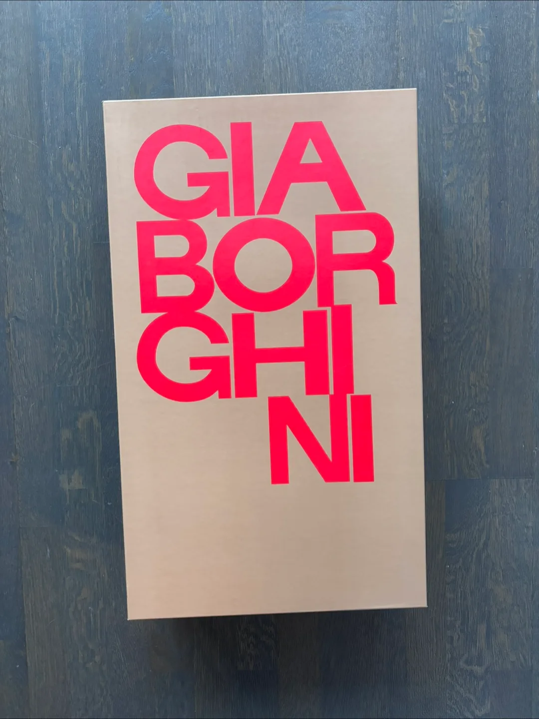 Gia Borghini Knee-High Leather Boots image indicator(3)