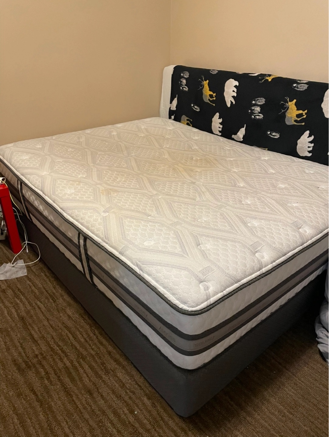Queen Mattress and Box Spring Set
