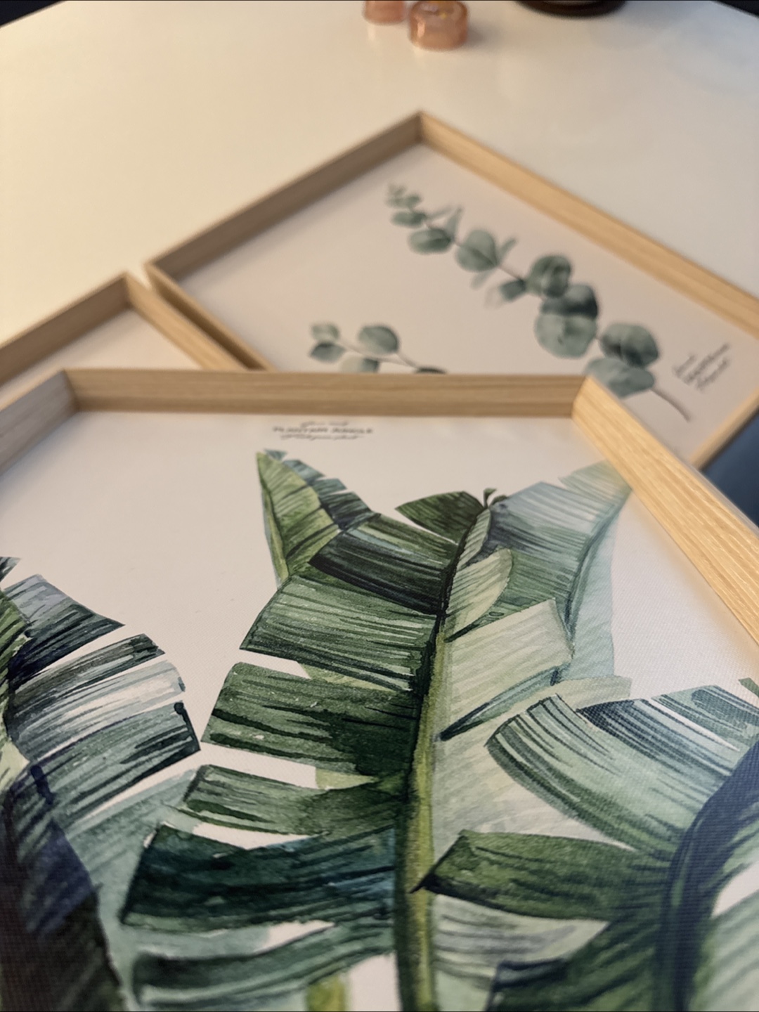 Set of Three Framed Botanical Prints - photo 5