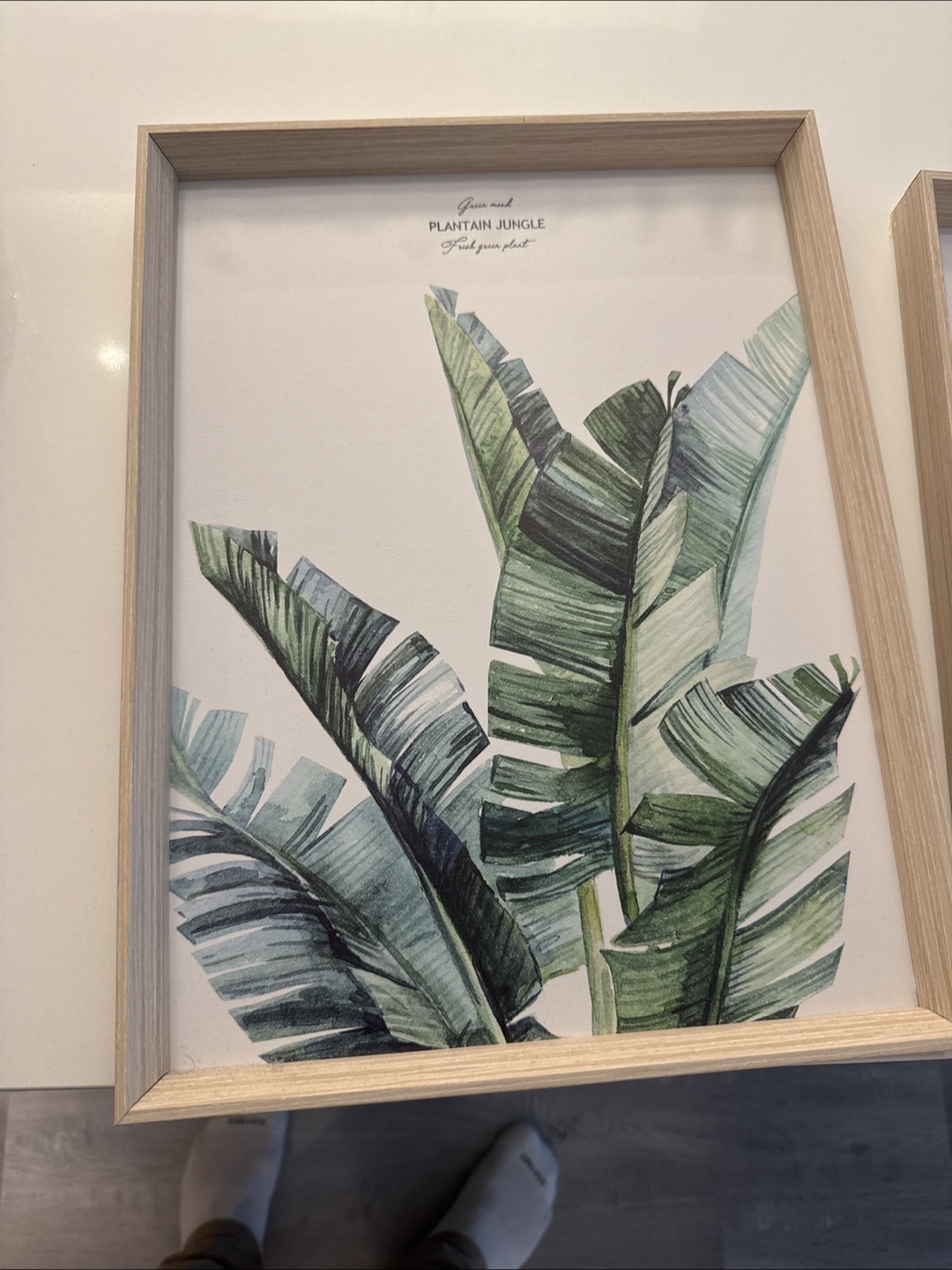 Set of Three Framed Botanical Prints