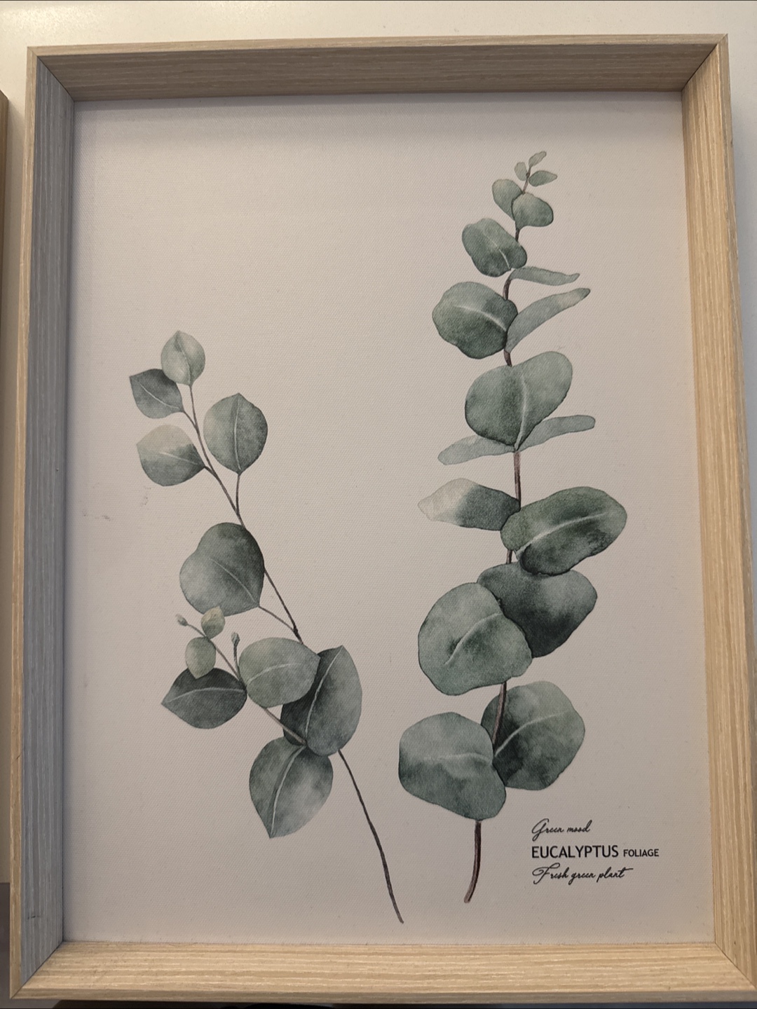 Set of Three Framed Botanical Prints - photo 3