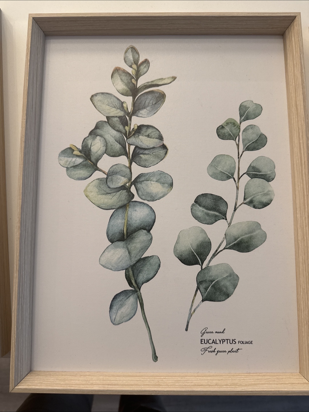 Set of Three Framed Botanical Prints - photo 2