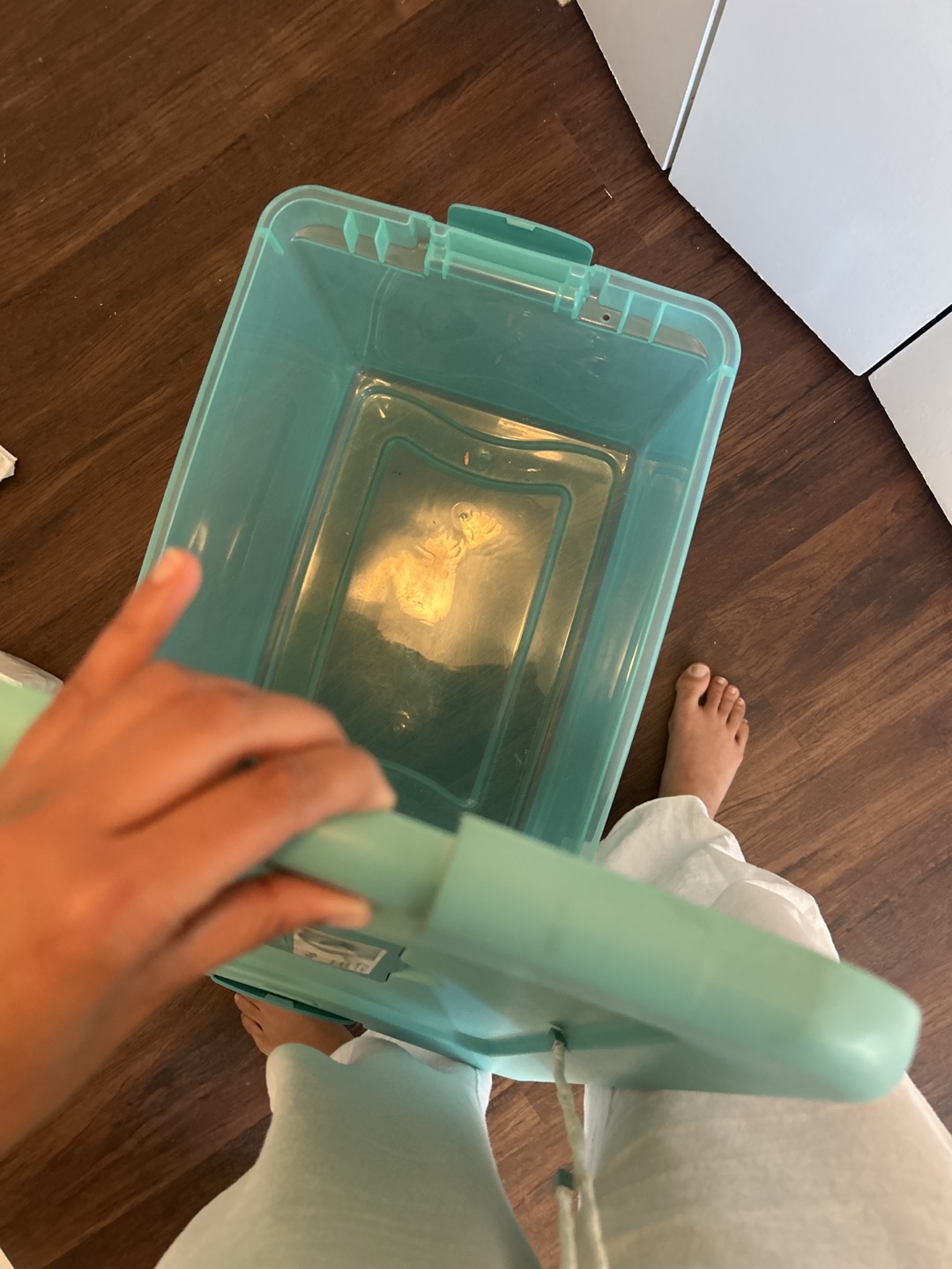 Sterilite 16-Quart Latch Box, Teal - photo 4