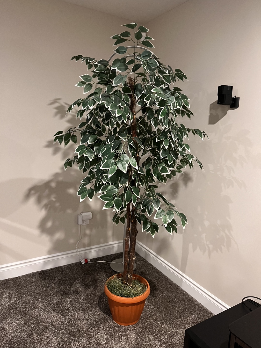 Large Artificial Ficus Tree