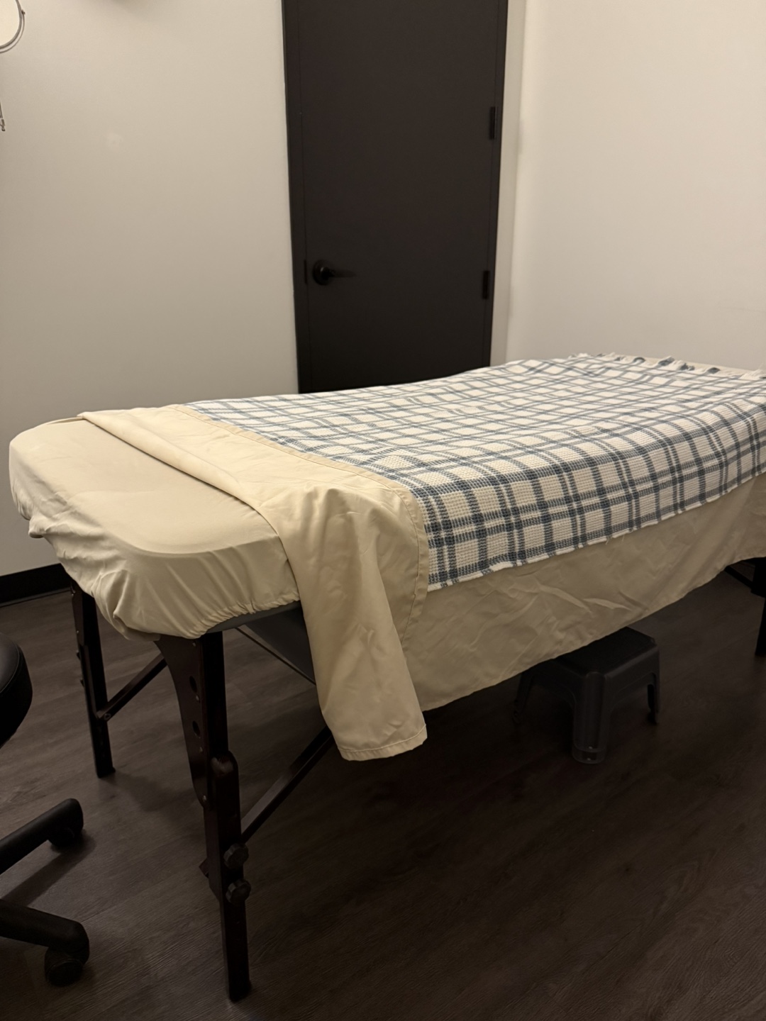 Brand New Professional Massage Table - MUST GO TODAY!