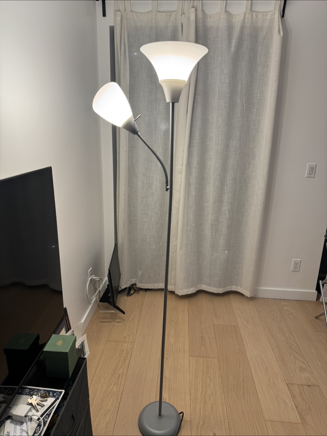 Double-Light Floor Lamp