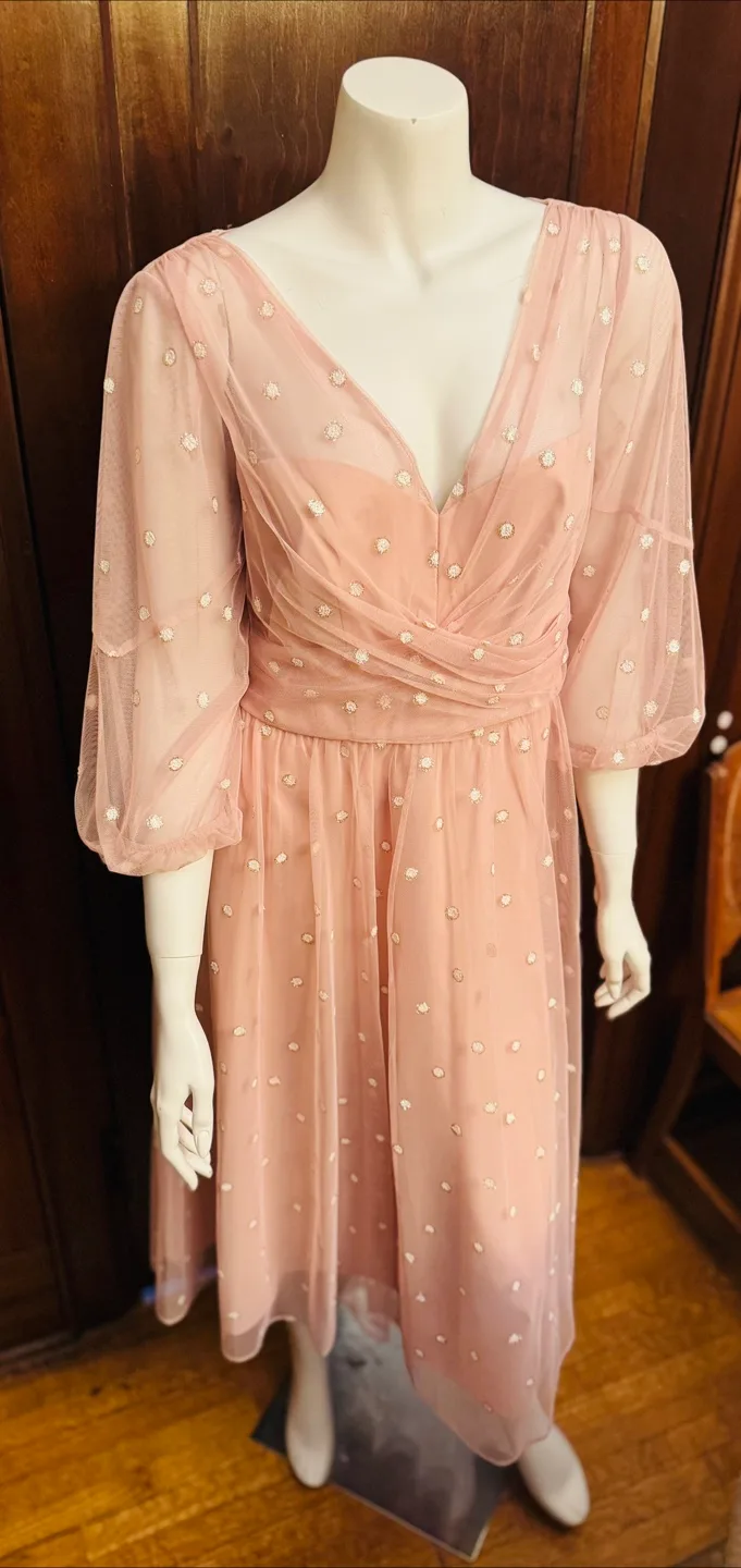 Gorgeous Blush Pink Midi Dress with Embroidered Dots thumbnail