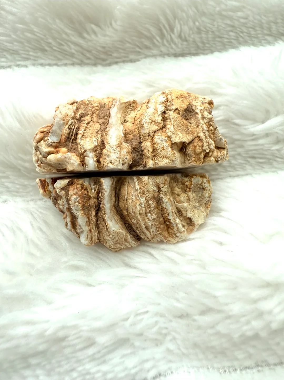 Rare Desert-Like Agate Geode – Pair image indicator(2)