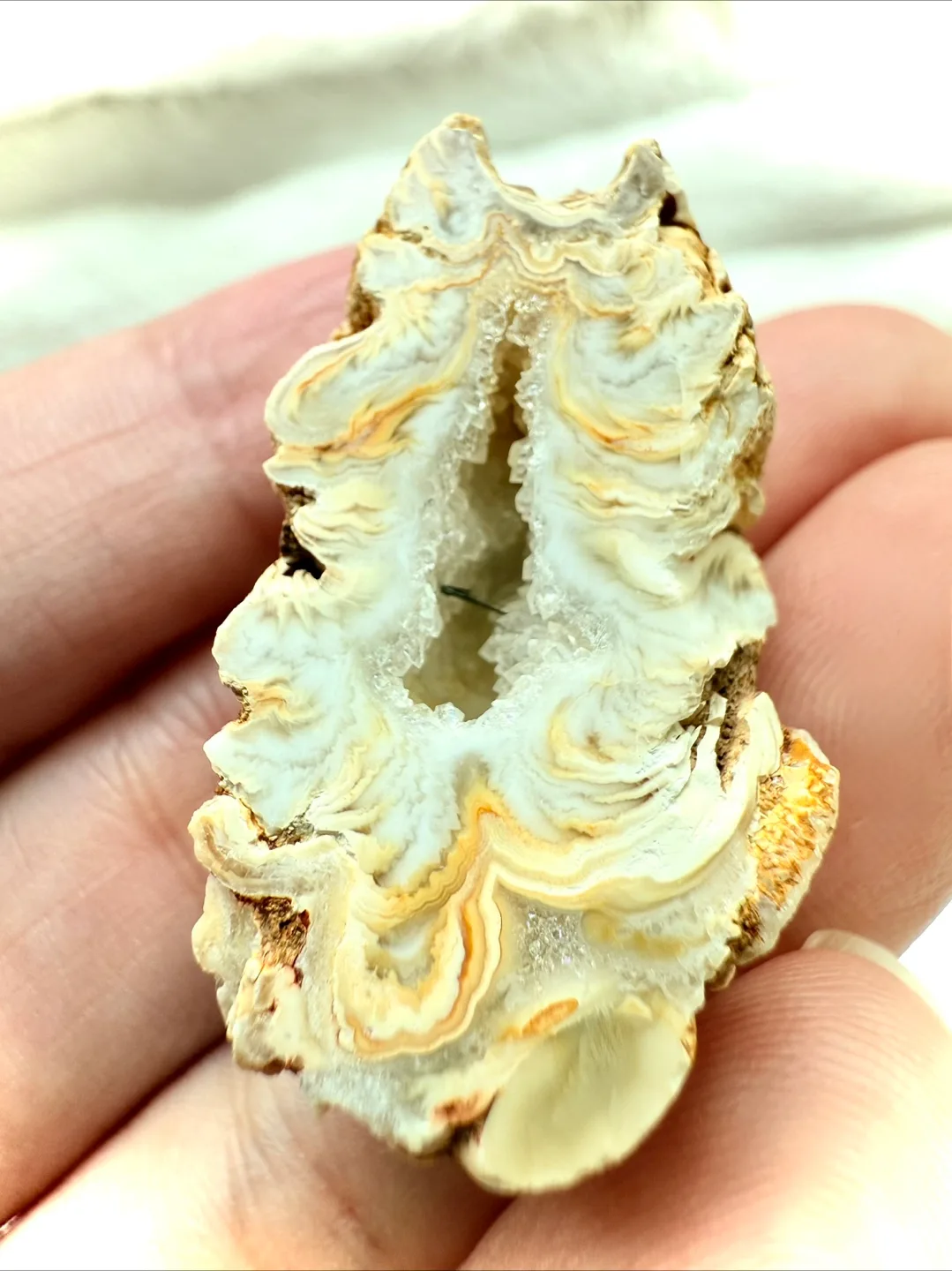 Rare Desert-Like Agate Geode – Pair image indicator(4)