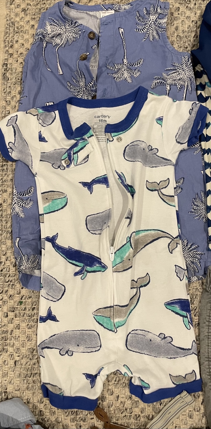 Boy Toddler Lot - 12 to 18 Months - photo 2
