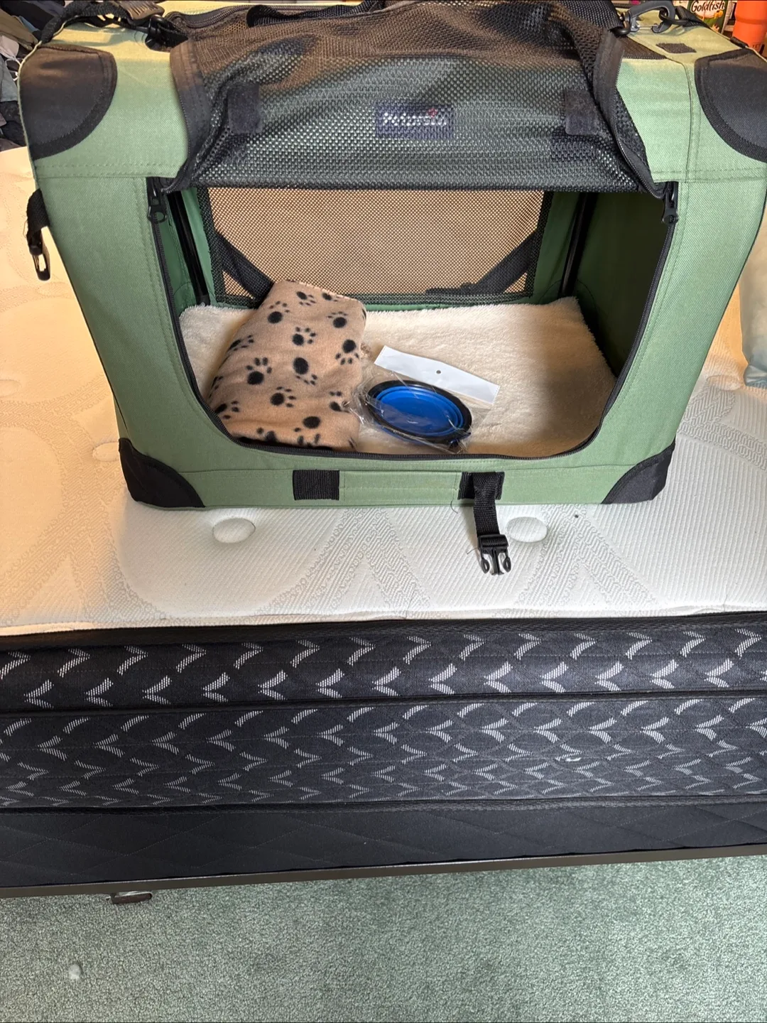 Petprsco Large Cat Carrier with Accessories