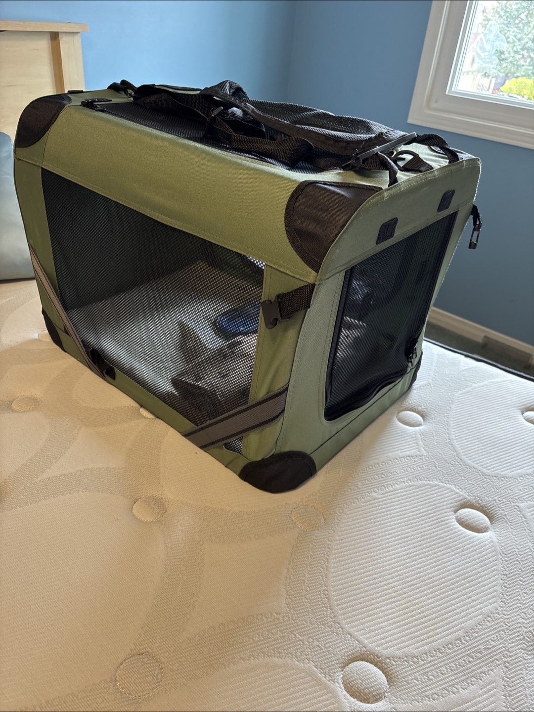 Petprsco Large Cat Carrier with Accessories - photo 3