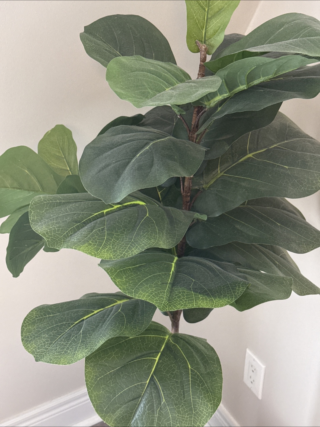 FREE- artificial fig leaf tree in pot - photo 2