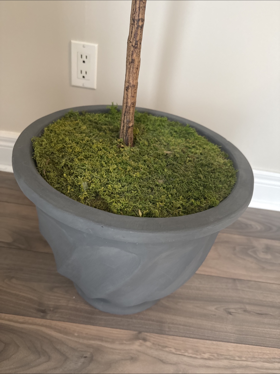 FREE- artificial fig leaf tree in pot - photo 3