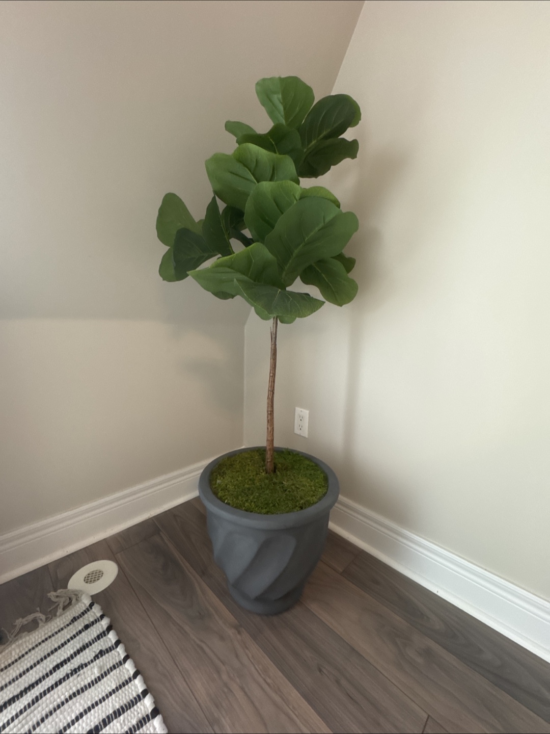 FREE- artificial fig leaf tree in pot