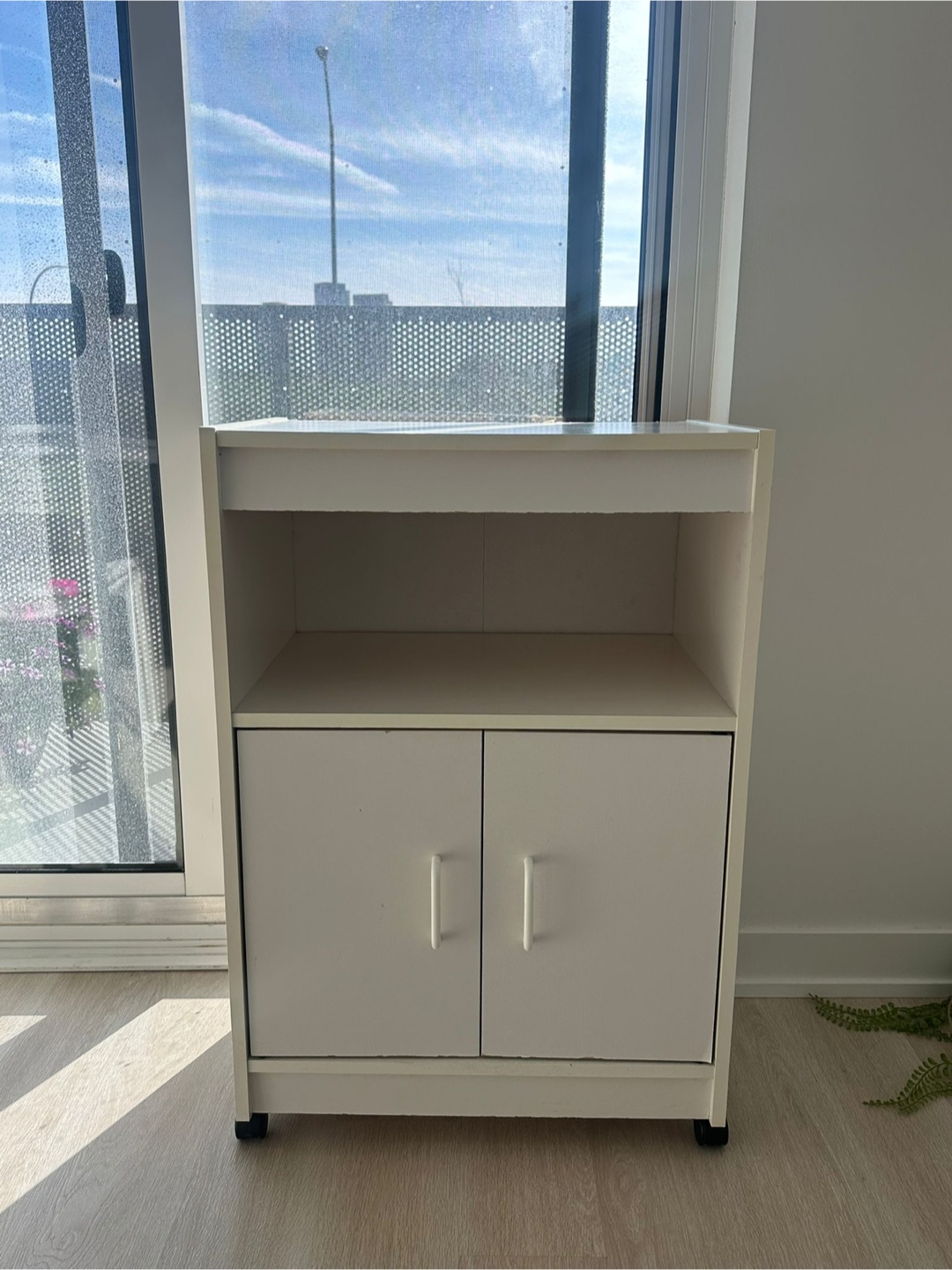 White Wooden Cabinet with Two Doors
