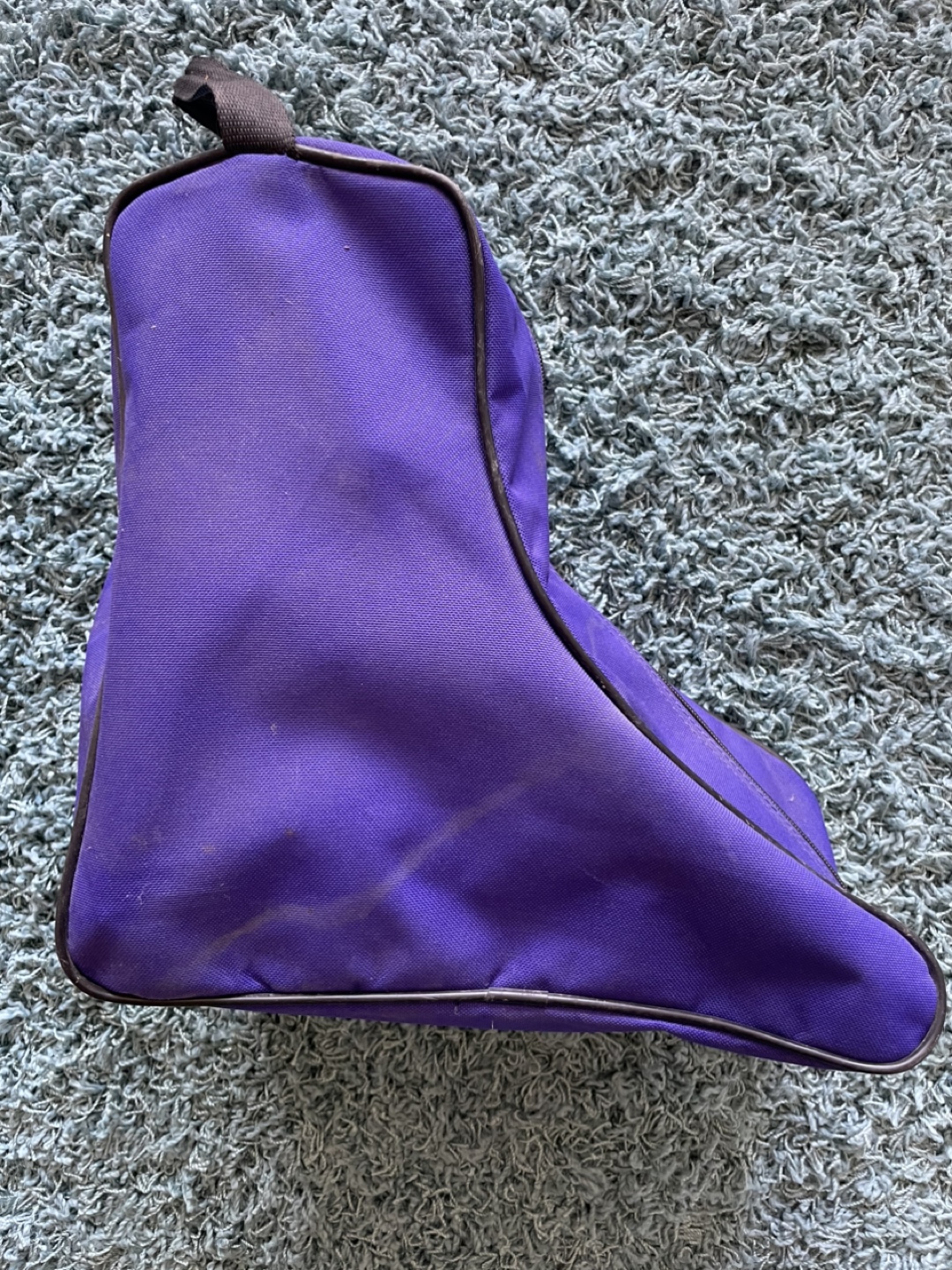 Purple Skate Bag