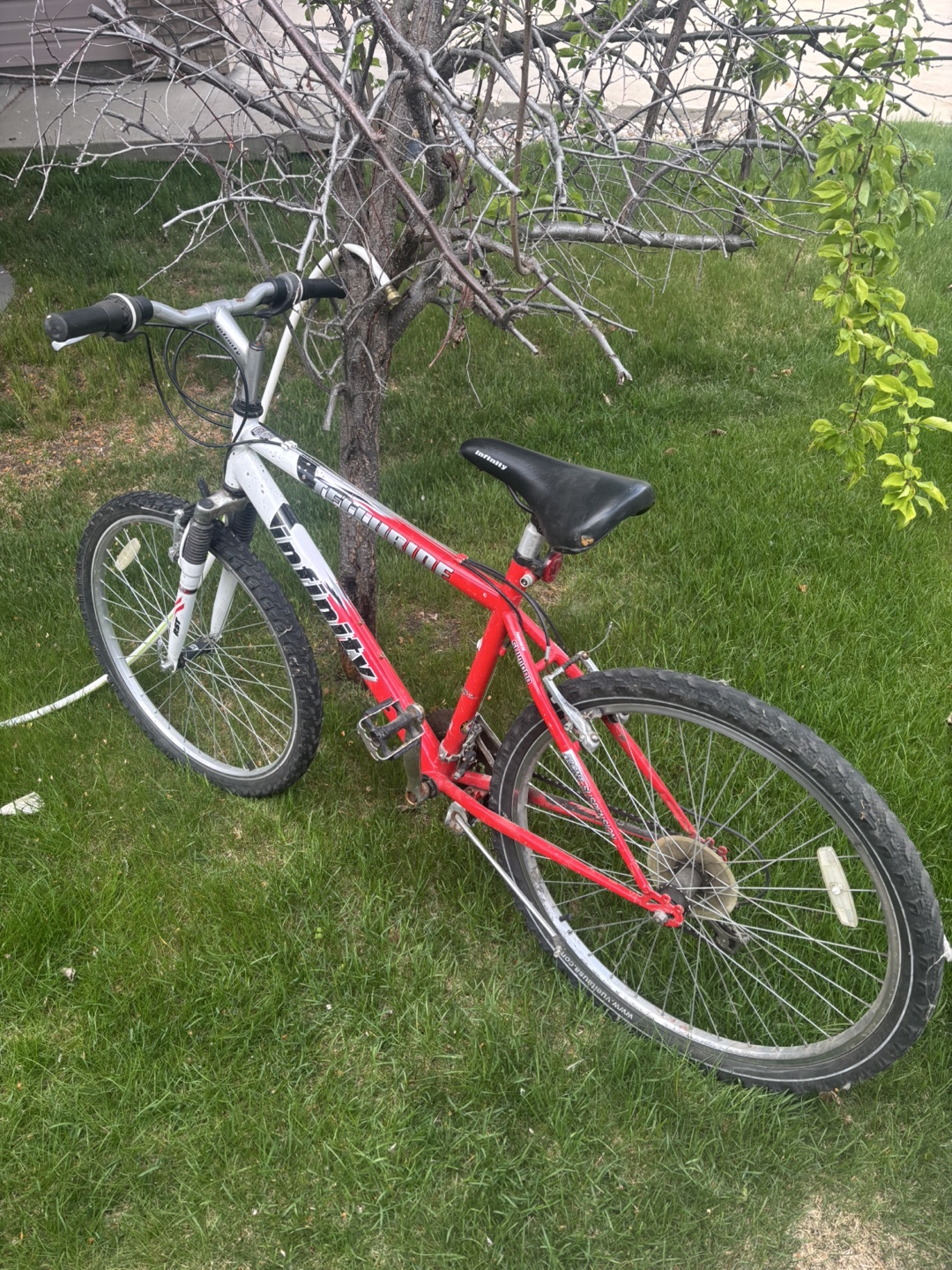 Mountain Bike - Excellent Condition - photo 2