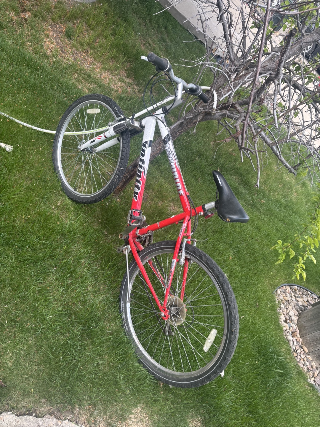 Mountain Bike - Excellent Condition