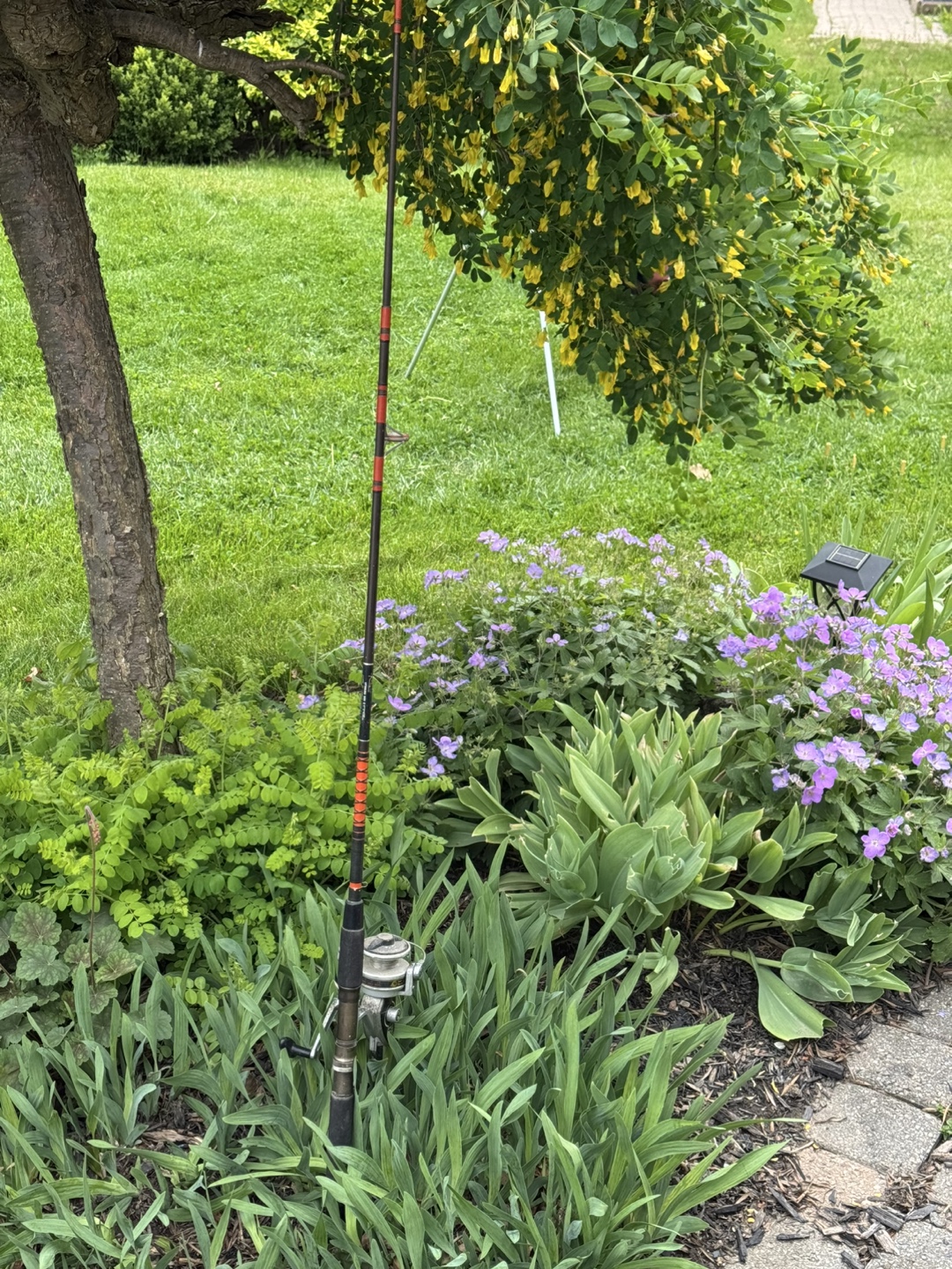 6 foot. DAM SLS 2 Spinning Fishing Rod and Reel Combo - photo 4