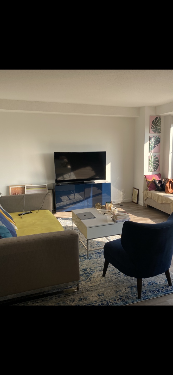 Rolled Blue and Beige Area Rug - photo 2