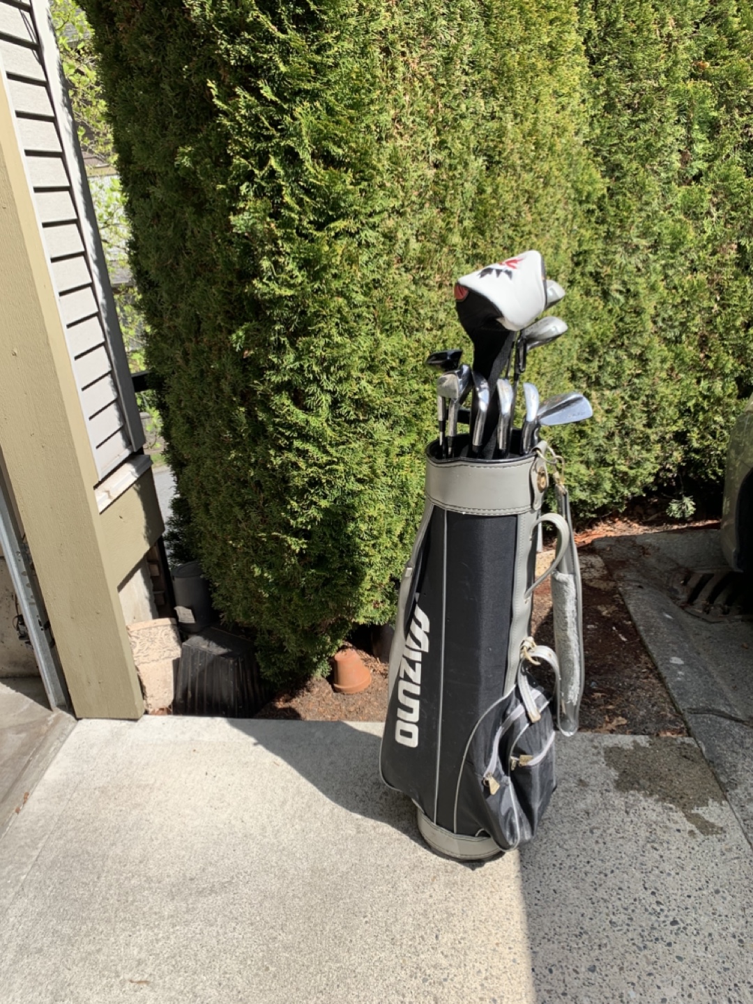 Mizuno Golf Club Set with Bag