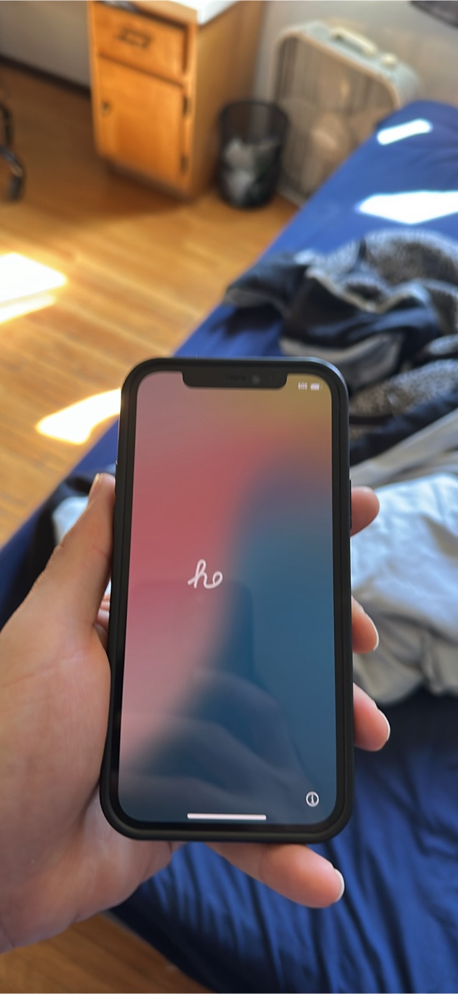 iPhone 12 Pro 256gb