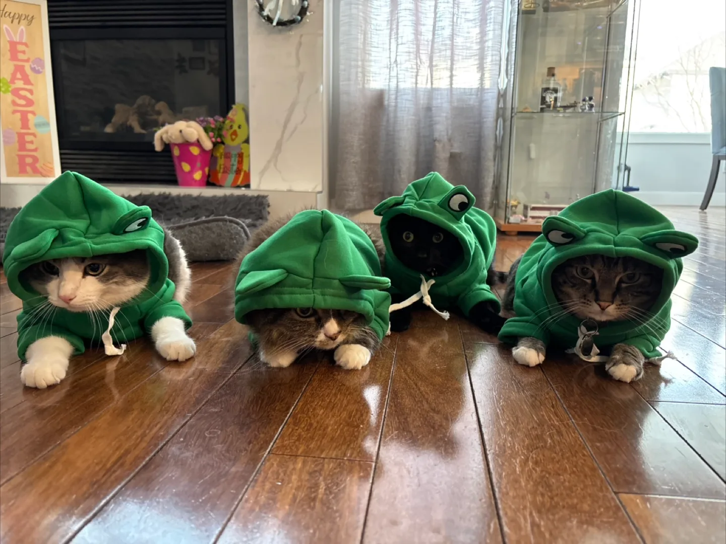 5 Cat/ Dog Costumes image indicator(2)