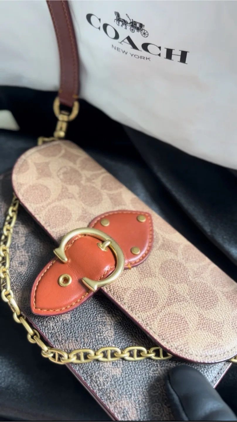 Coach Chain Wallet On Strap with Dustbag image indicator(4)